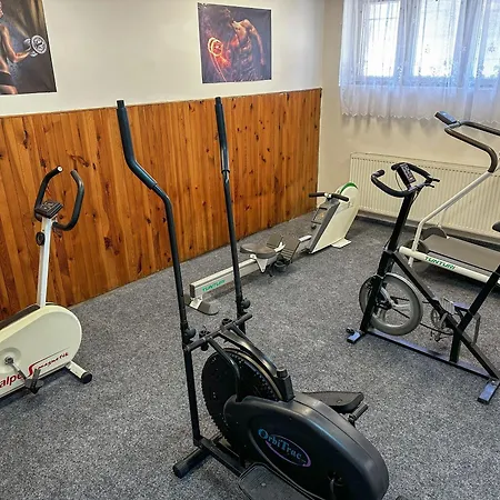 Sport Gejzirpark Hotel Karlovy Vary