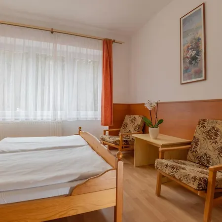 Sport Gejzirpark Hotel Karlovy Vary